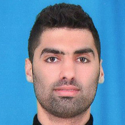 عامر المصري